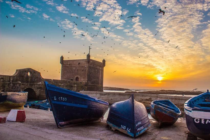 day trip from Marrakech to Essaouira