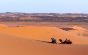 marrakech camel desert tour