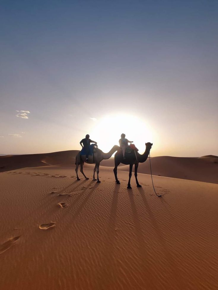 6 days desert tour from Rabat to Marrakech