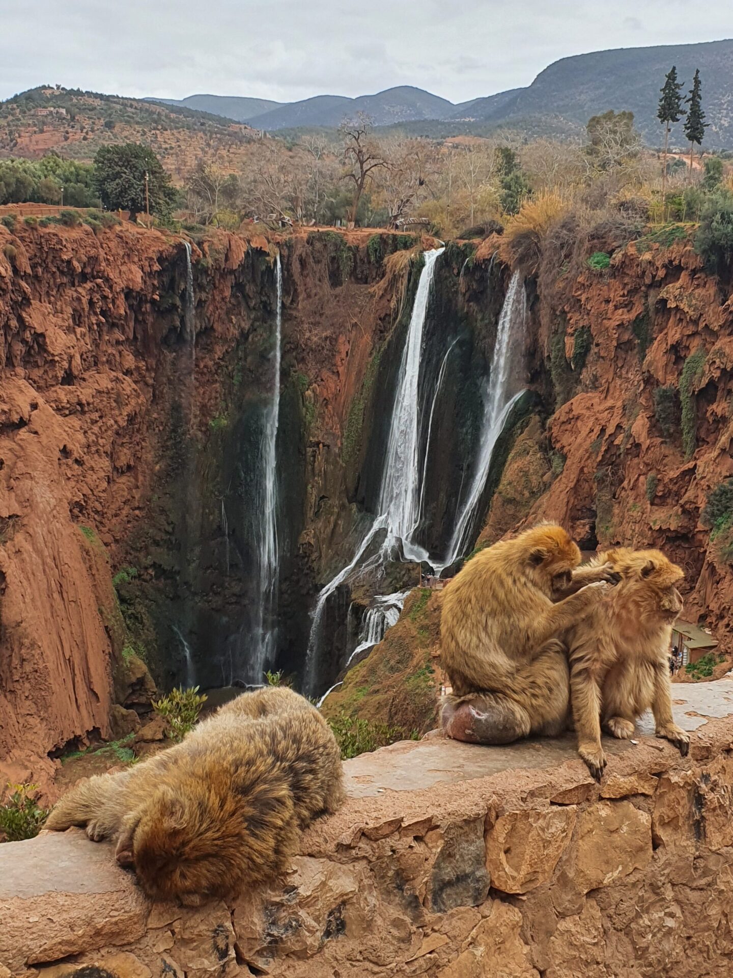 Marrakech to Ouzoud day trip