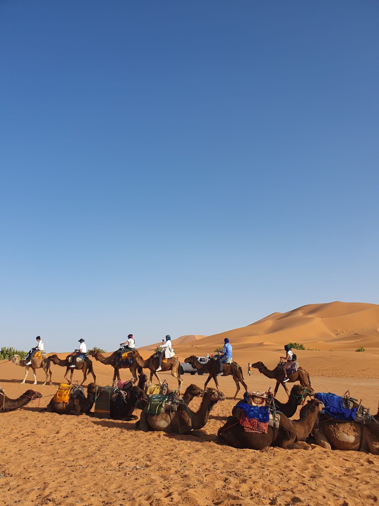 6 days desert tour from Casablanca to Marrakech?