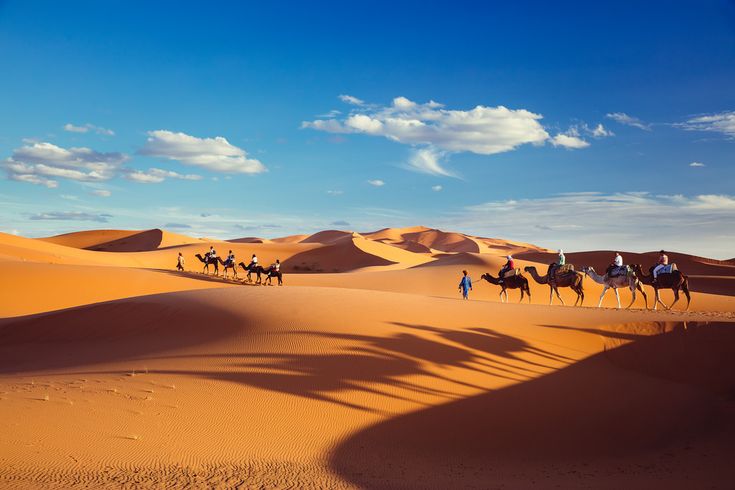 Merzouga camel ride