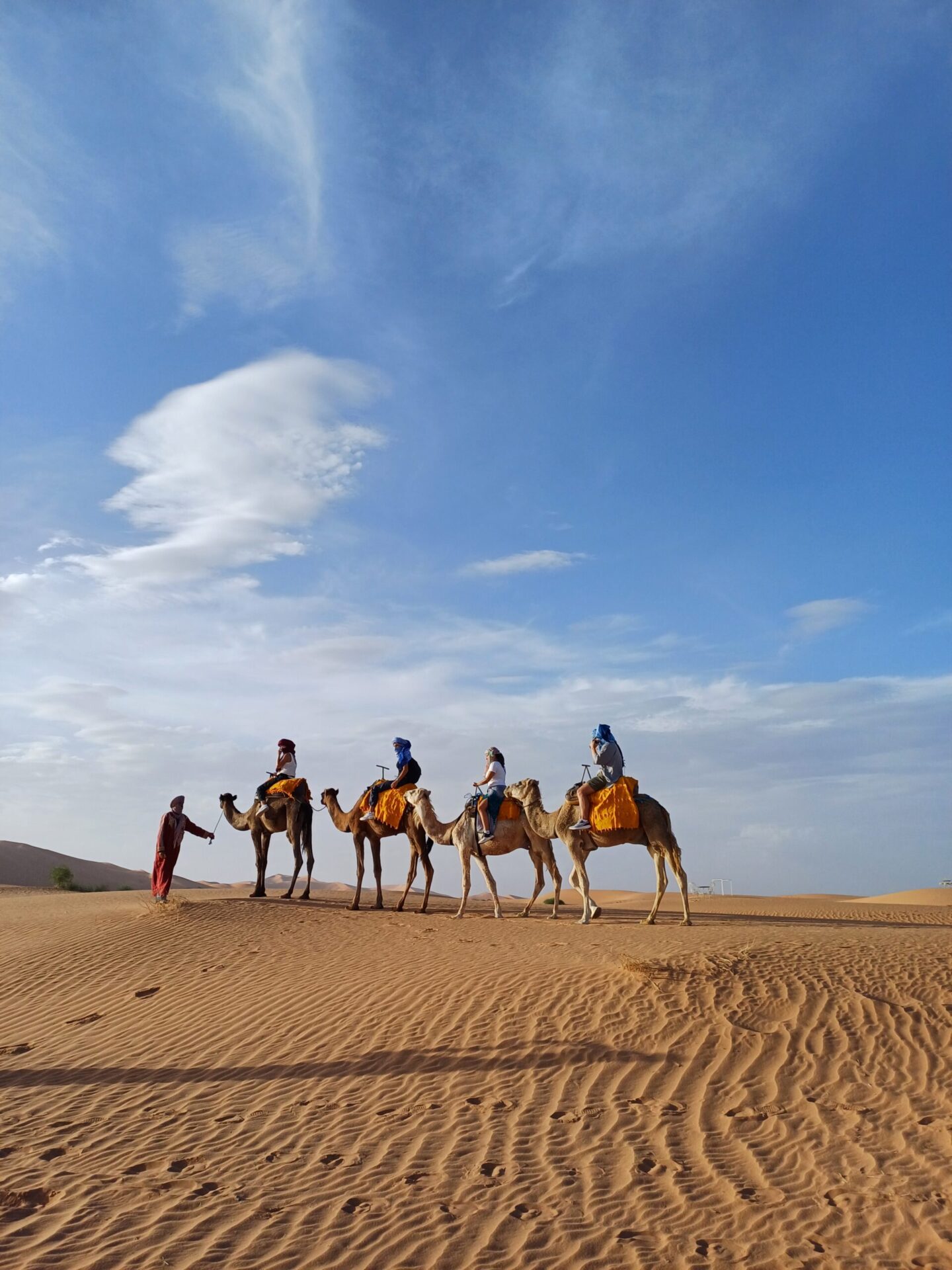 9 days tour from Casablanca to Marrakech