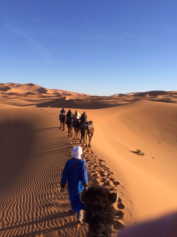 Merzouga camel ride