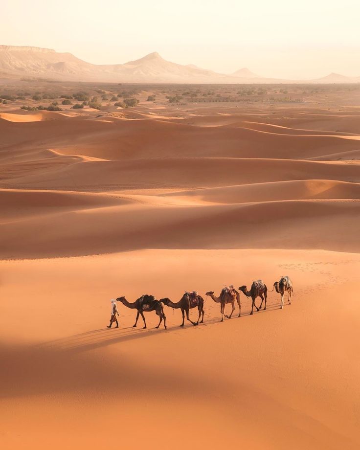 5 days desert tour from Marrakech to Merzouga