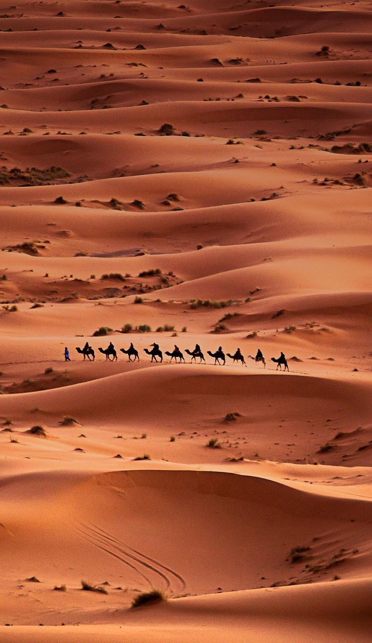 Marrakech desert tour 2 days